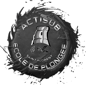 Logo Actisub